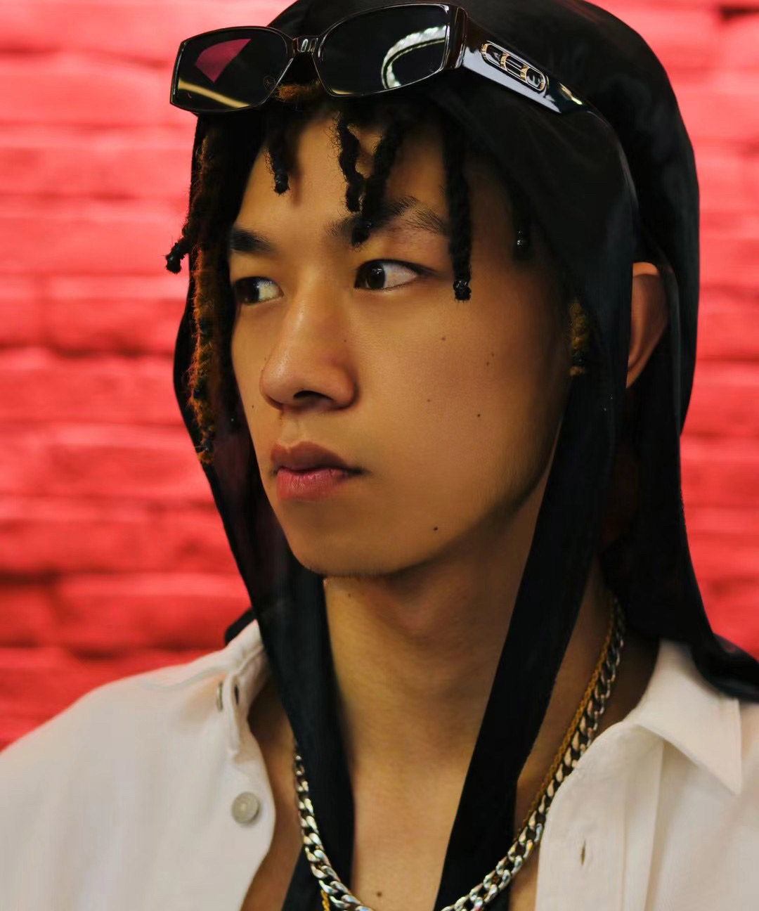 bai1 fan yu